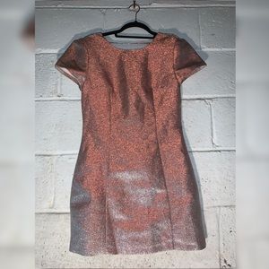 Beautiful Sparkle Pink/Silver Reflective Dress